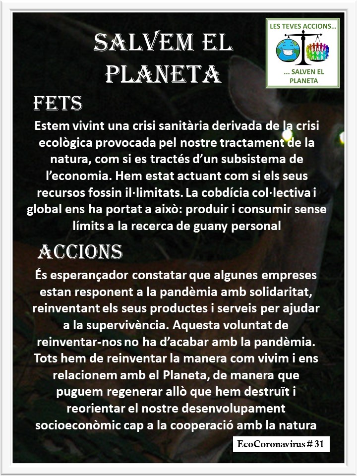 La imagen tiene un atributo ALT vacío; su nombre de archivo es catalan-ecocoronavirus-31.jpg