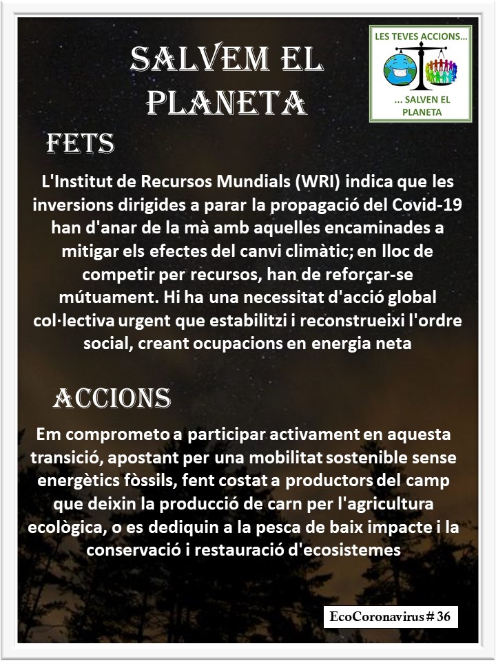 La imagen tiene un atributo ALT vacío; su nombre de archivo es catalan-ecocoronavirus-36.jpg