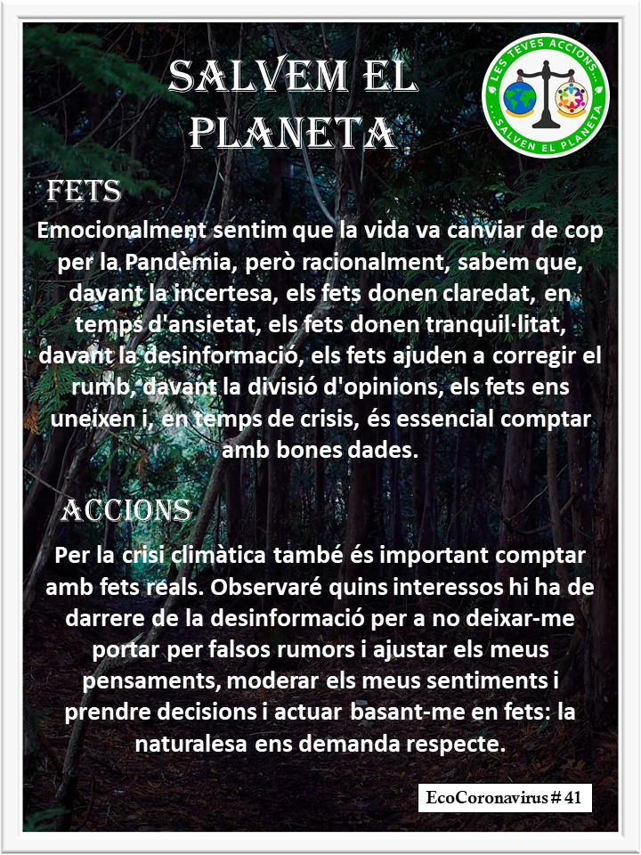 La imagen tiene un atributo ALT vacío; su nombre de archivo es catalan-ecocoronavirus-41.jpg