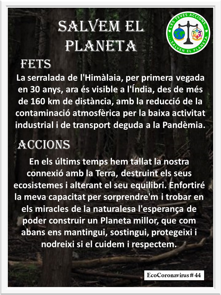 La imagen tiene un atributo ALT vacío; su nombre de archivo es catalan-ecocoronavirus-44-2.jpg