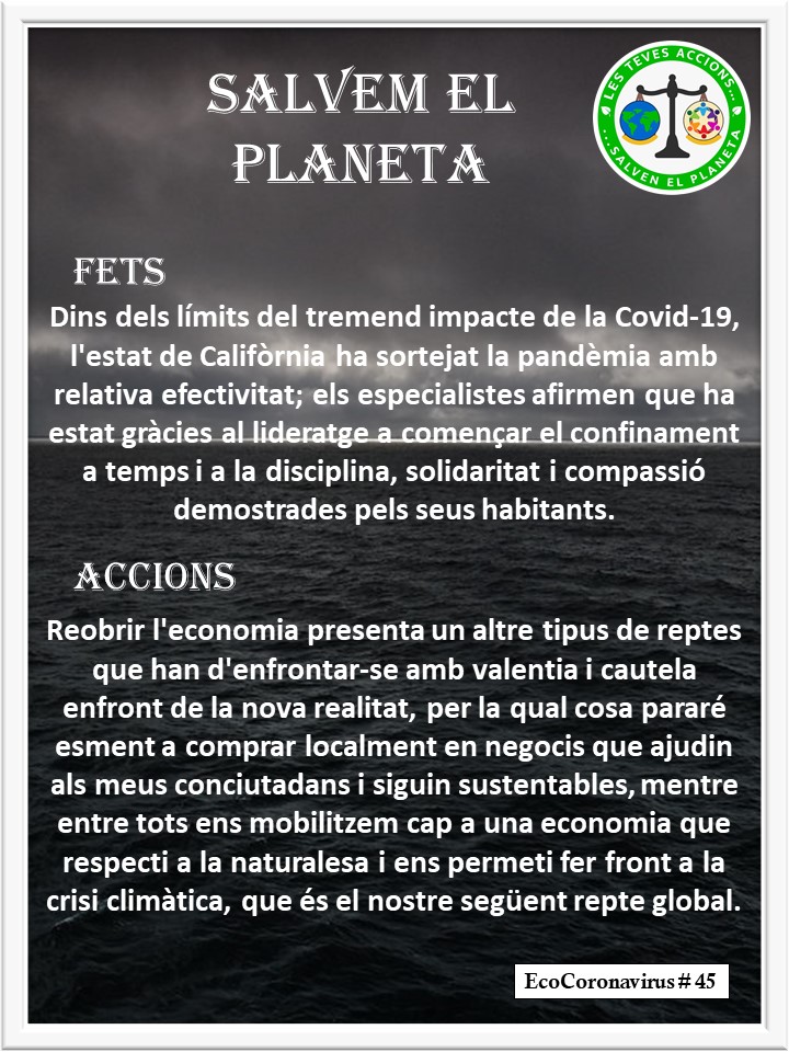 La imagen tiene un atributo ALT vacío; su nombre de archivo es catalan-ecocoronavirus-45.jpg