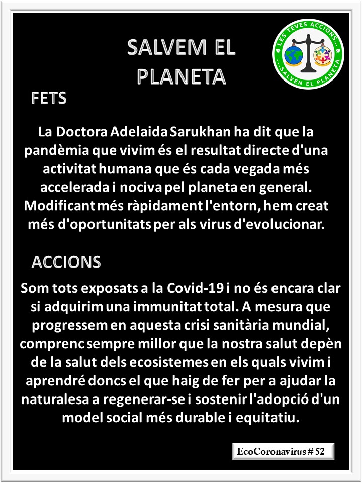 La imagen tiene un atributo ALT vacío; su nombre de archivo es catalan-ecocoronavirus-52.jpg