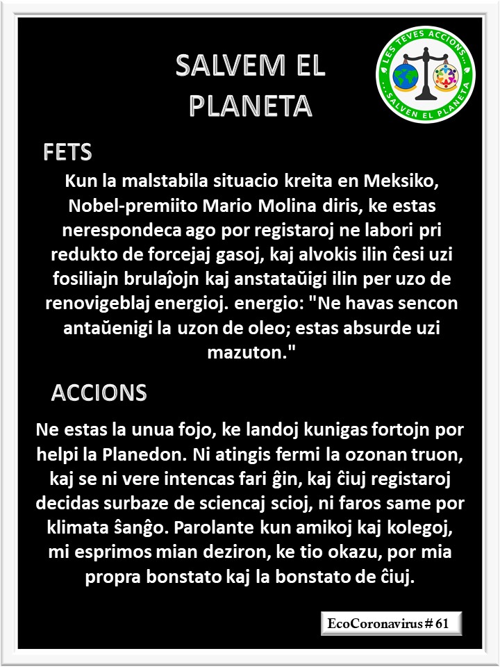 La imagen tiene un atributo ALT vacío; su nombre de archivo es catalan-ecocoronavirus-61.jpg