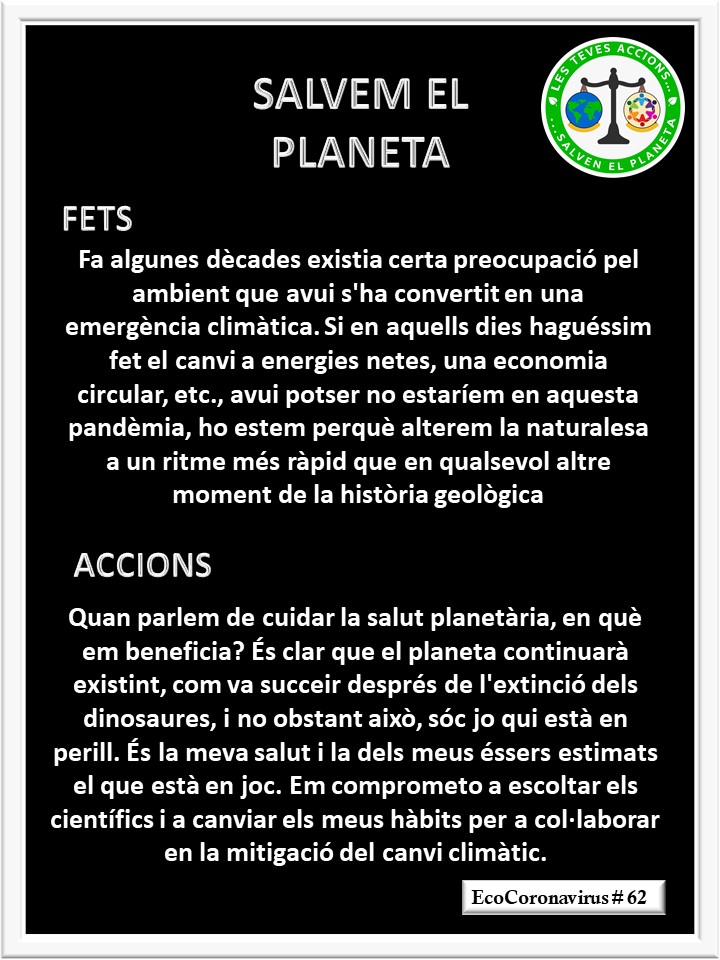 La imagen tiene un atributo ALT vacío; su nombre de archivo es catalan-ecocoronavirus-62.jpg