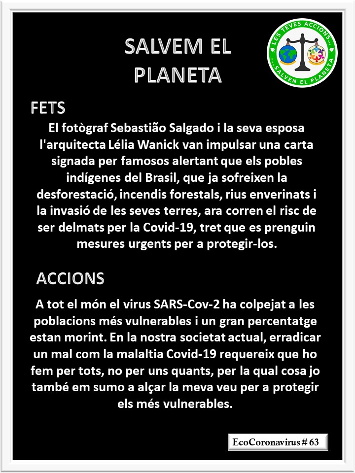 La imagen tiene un atributo ALT vacío; su nombre de archivo es catalan-ecocoronavirus-63.jpg