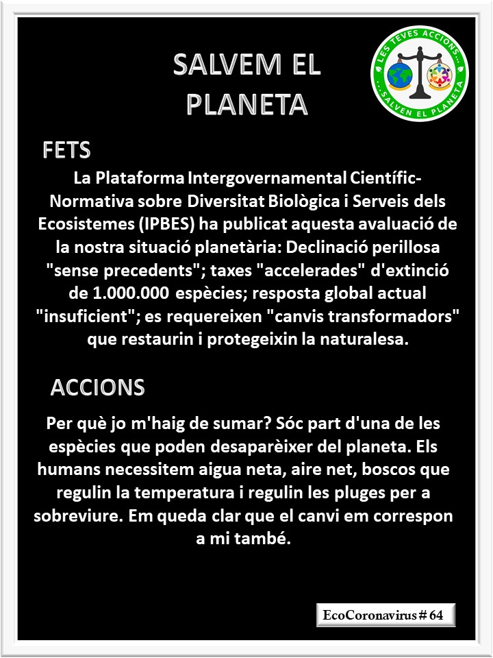 La imagen tiene un atributo ALT vacío; su nombre de archivo es catalan-ecocoronavirus-64.jpg