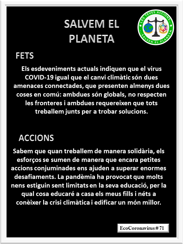 La imagen tiene un atributo ALT vacío; su nombre de archivo es catalan-ecocoronavirus-71.jpg