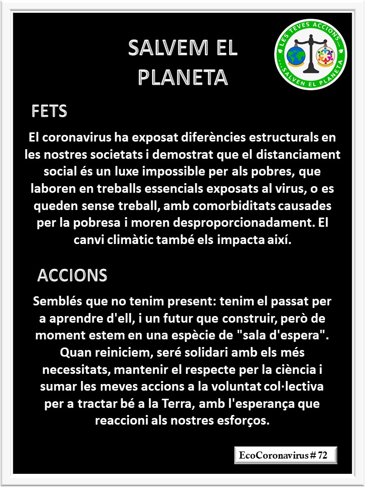 La imagen tiene un atributo ALT vacío; su nombre de archivo es catalan-ecocoronavirus-72.jpg