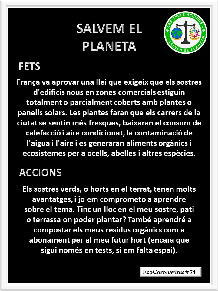 La imagen tiene un atributo ALT vacío; su nombre de archivo es catalan-ecocoronavirus-74.jpg