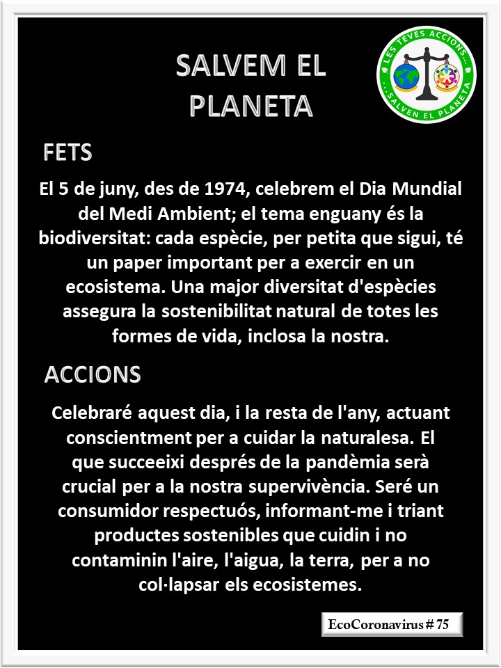 La imagen tiene un atributo ALT vacío; su nombre de archivo es catalan-ecocoronavirus-75.jpg