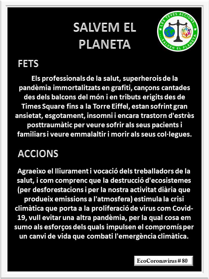 La imagen tiene un atributo ALT vacío; su nombre de archivo es catalan-ecocoronavirus-80.jpg