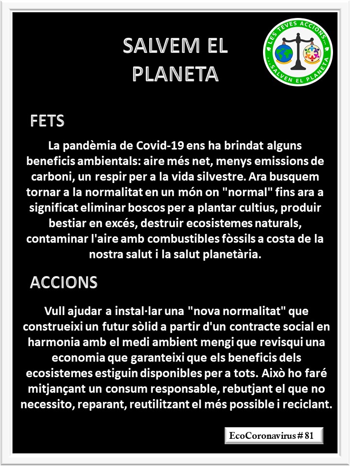 La imagen tiene un atributo ALT vacío; su nombre de archivo es catalan-ecocoronavirus-81.jpg