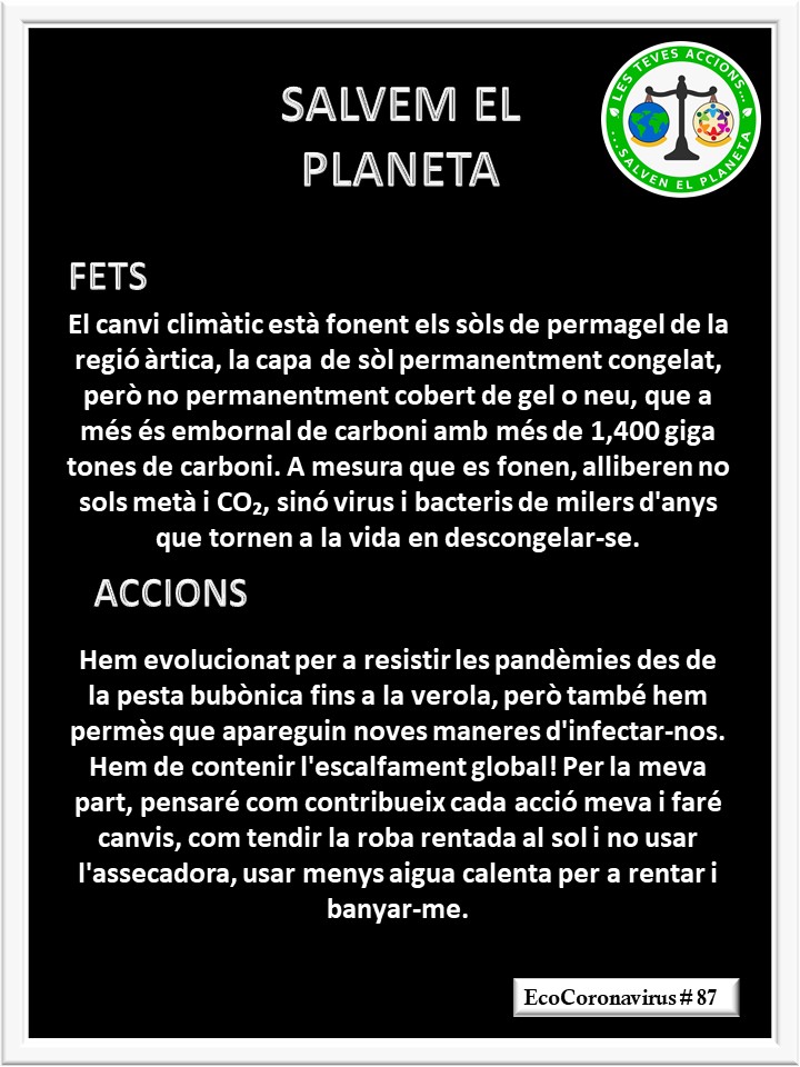 La imagen tiene un atributo ALT vacío; su nombre de archivo es catalan-ecocoronavirus-87.jpg