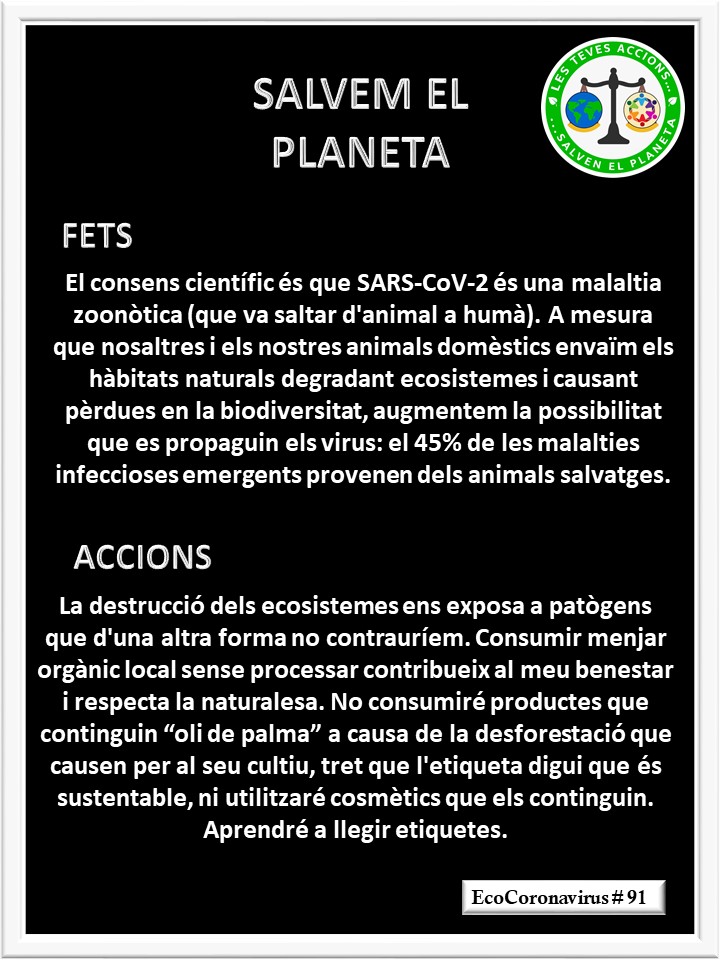 La imagen tiene un atributo ALT vacío; su nombre de archivo es catalan-ecocoronavirus-91.jpg