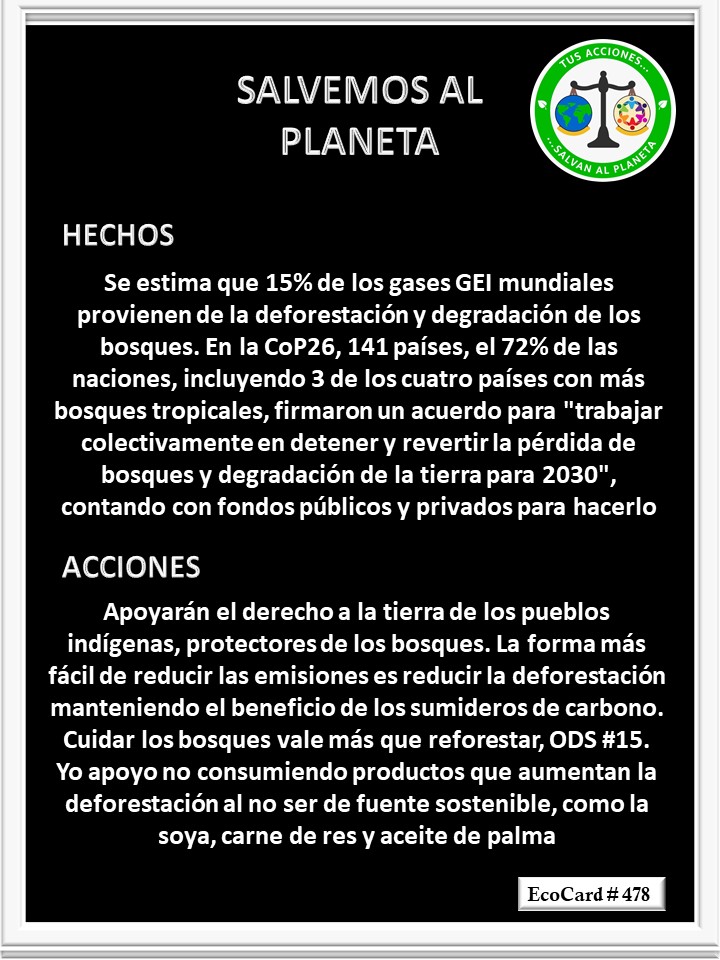 EcoCard # 478 El derecho a la tierra – Salvemos al Planeta